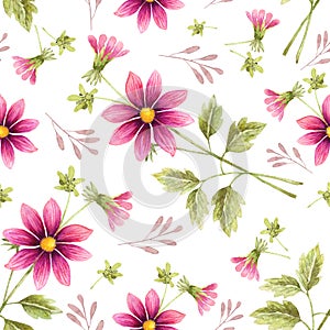 Seamless background of watercolor drawings of red flowers