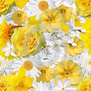 Seamless background with yellow and white flowers