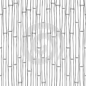 Seamless bamboo pattern. Black and white illustration.