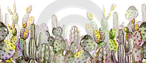 Seamless banner with green cactus plants.