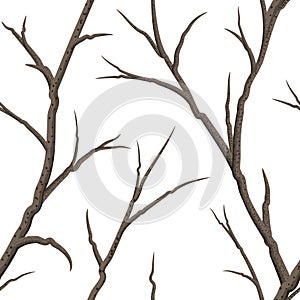 Seamless bare tree Branches on a white background
