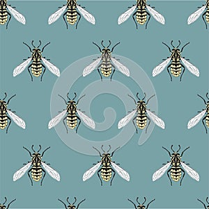 Seamless bee pattern. Flat vector illustration with insects