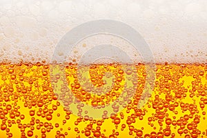 Seamless beer texture