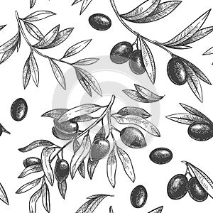 Seamless black olive pattern. Greek olives on branches with leaves, hand drawn sketch vector illustration