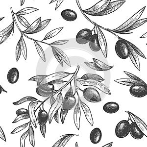 Seamless black olive pattern. Greek olives on branches with leaves, hand drawn sketch vector illustration