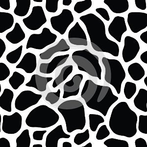 Seamless Black And White Cow Print Pattern Background