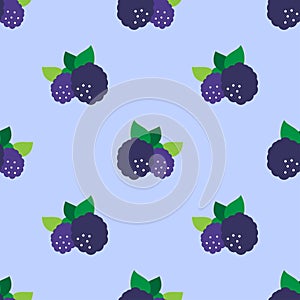 SEAMLESS BLACKBERRIES PATTERN