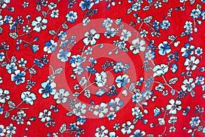 Seamless Blue Floral Pattern in Red Color Background on Cloth