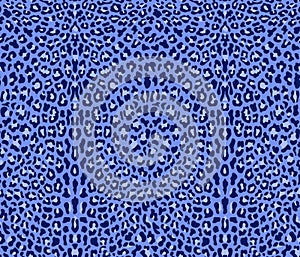 Seamless blue leopard pattern