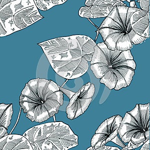 Seamless blue pattern with morning glory. Hand drawn. Graphics