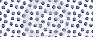 Seamless blueberry pattern. Berries isolated on white. Creative food concept