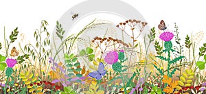 Seamless Border with Autumn Meadow Plants and Insects