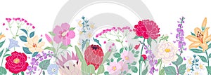 Seamless Border  with Blooming Garden Flowers