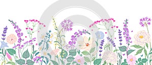 Seamless Border  with Blooming Garden Flowers