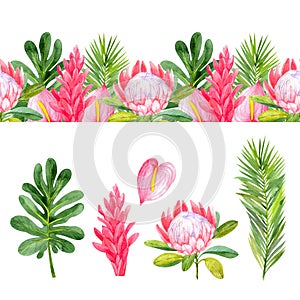 Seamless border with bright tropical flowers and leaves. Set with tropical plants.