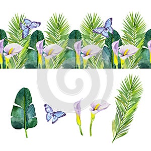 Seamless border with bright tropical flowers and leaves. Set with tropical plants.