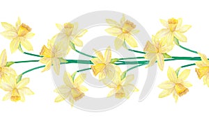 Seamless border or brush with spring flowers and leaves. Narcissus or daffodils. Hand drawn watercolor illustration