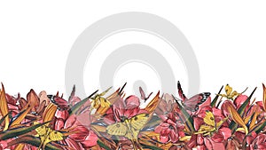 Seamless border butterfly, red flower, strelitzia isolated on white. Watercolor hand drawn illustration. Art for design