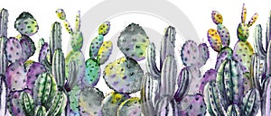 Seamless border with colorful cactus plants.