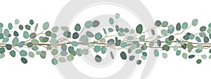 Seamless border of a eucalyptus branches. Floral frame. Vector hand drawn illustration. White background.