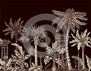 Seamless border with graphic tropical trees such as palm, banana, monstera for interior design. Vector