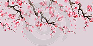Seamless border with japanese cherry blossom branch watercolor