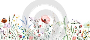 Seamless border made of watercolor wildflowers and leaves, wedding and greeting illustration photo