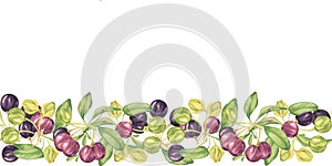 Seamless border maqui berries and leaves