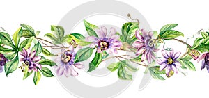 Seamless border of passion flower plant watercolor illustration isolated on white.