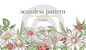 Seamless border pattern with sketch colorful blossoms. Seamless stripe with hand drawn camomile, ladybugs