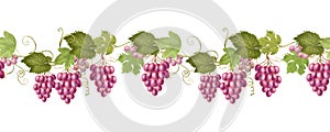 Seamless border of pink grape vines
