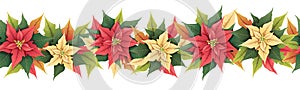 Seamless border with red and yellow poinsettia. Christmas ornament for decoration of cards, banners.Botanical vector