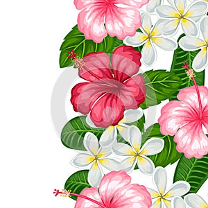 Seamless border with tropical flowers hibiscus and plumeria. Background made without clipping mask.