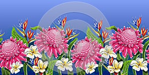 Seamless border with tropical flowers for your design. Vector illustration.