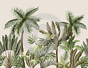 Seamless border with tropical tree such as palm, banana. Vector.