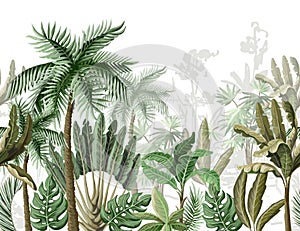 Seamless border with tropical tree such as palm, banana. Vector.