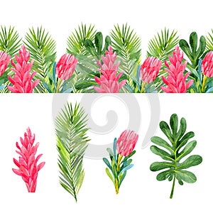 Seamless border with watercolor tropical flowers and leaves. Set with tropical plants