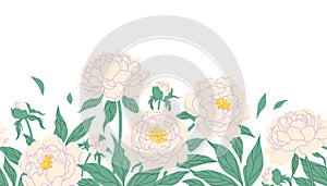 Seamless Border  with White Peony Flowers