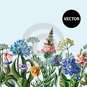 Seamless border with wild flowers. Vector illustration.