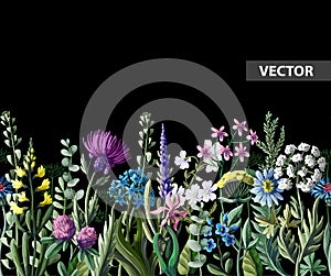 Seamless border of wild flowers. Vector illustration.