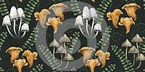 Dark forest background with mushrooms, herbs and leaves.