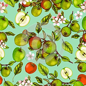 Seamless botanical pattern of hand drawn apples