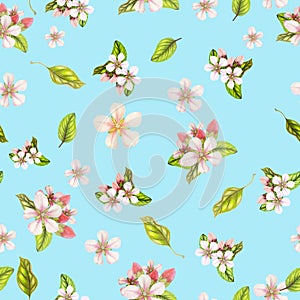 Seamless botanical pattern of hand drawn watercolor apple flowers