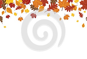 Seamless Bright Fall Autumn Leaves Border 1