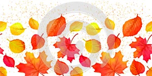 Seamless Bright Fall Autumn Leaves Border