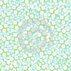 Seamless bright spring or summer floral vector pattern. Background with small plants, daisy flowers, leaves.