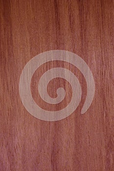 Seamless Brown Hardwood Panel Surface