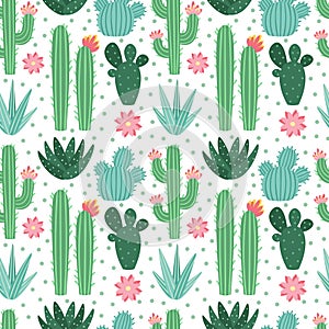 Seamless cactus pattern. Exotic desert cacti houseplants, repeating cactuses vector background