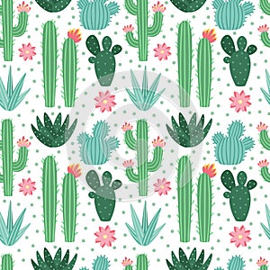 Seamless cactus pattern. Exotic desert cacti houseplants, repeating cactuses vector background photo