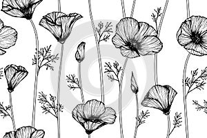 Seamless California poppy flower pattern background.